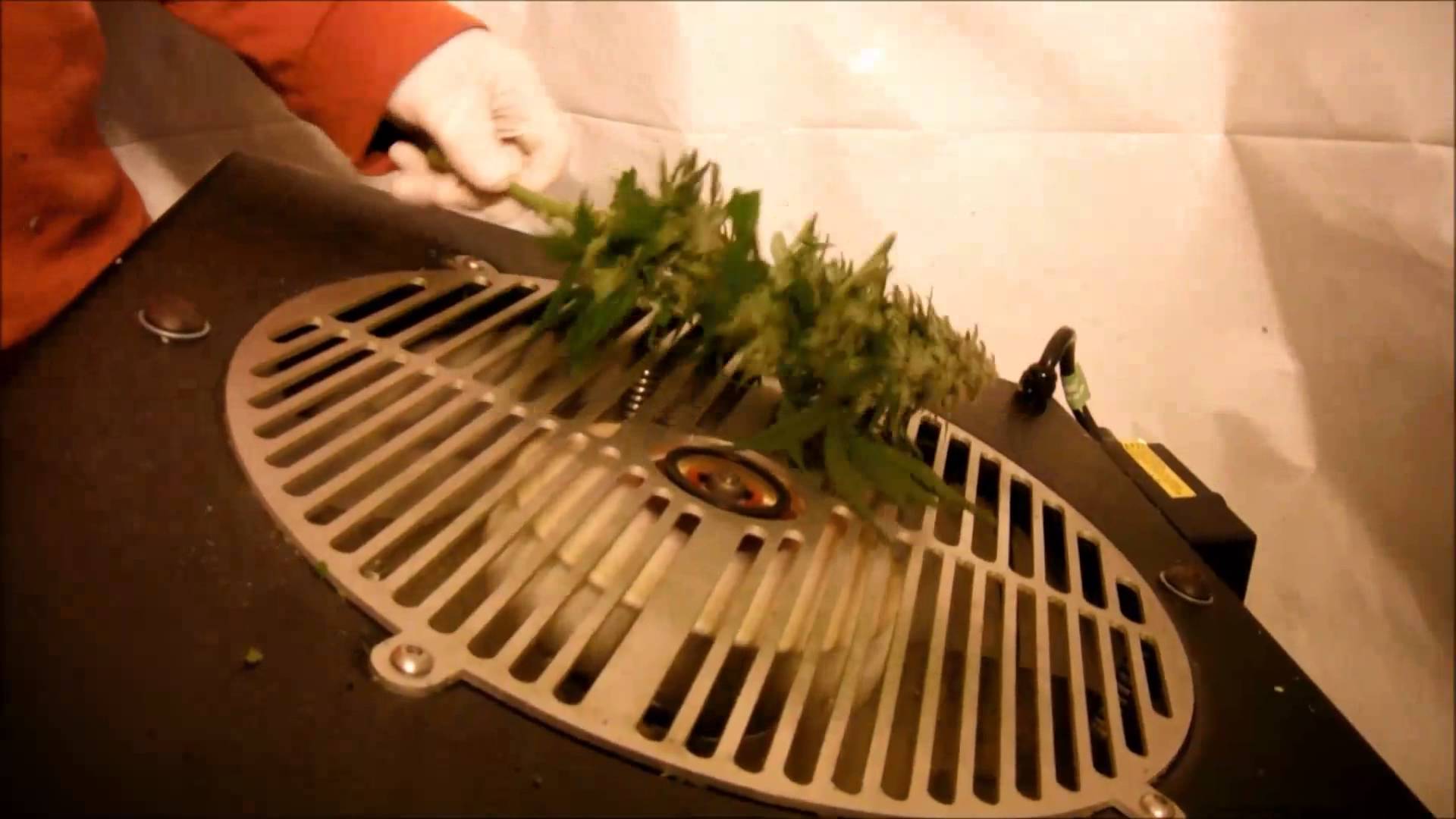 bud trimmer